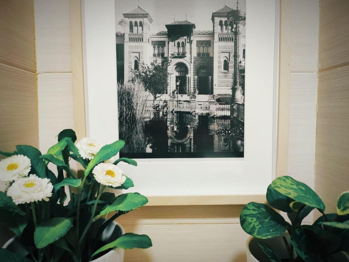 Cozy In Historic Centre Appartement *